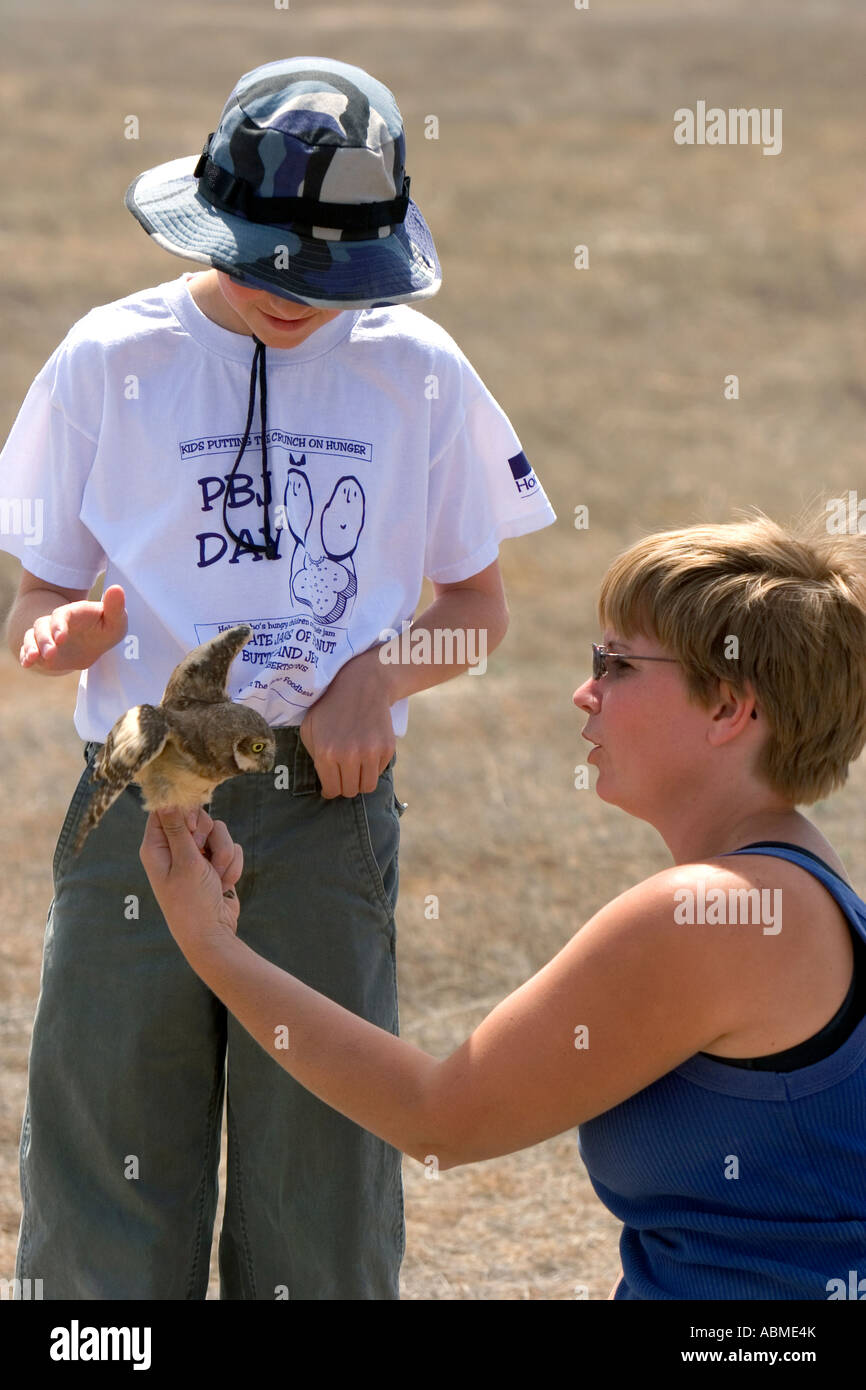 Wildbiologen zeigt eine junge Kanincheneule, einem 11 Jahre alten junge in der Nähe von Mountain Home Idaho Stockfoto
