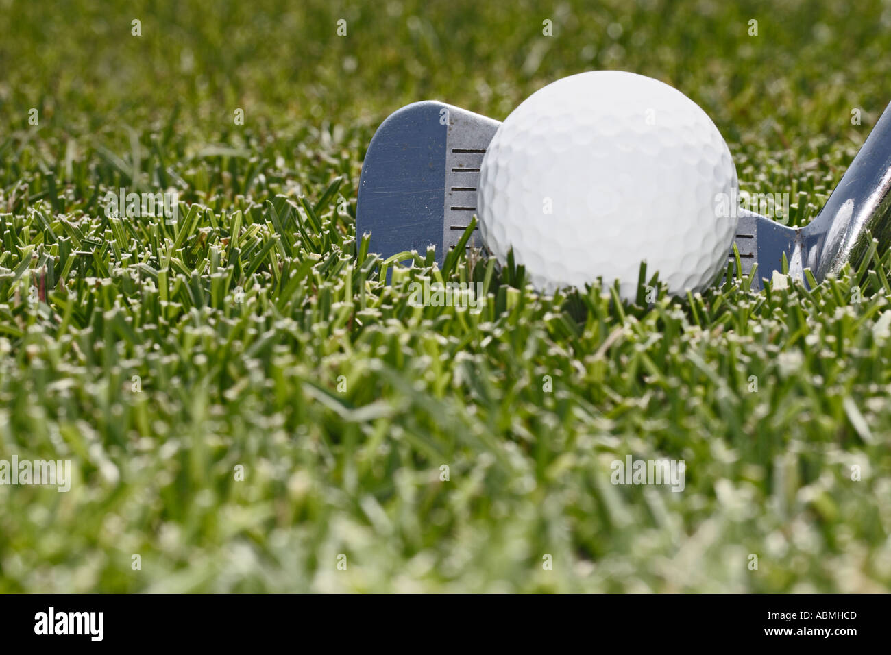 Nahaufnahme von Golfschläger mit Ball auf Fairway Stockfoto