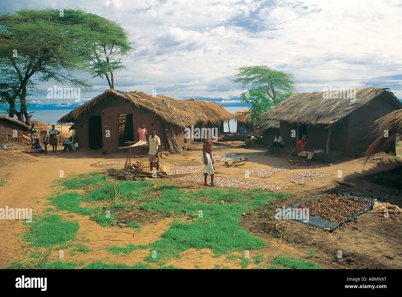 Fischer Sonne trocknen Ciclid Fisch aus dem See in der Nähe von Häusern in Lakeside Fischerdorf in der Nähe von Chiweta nördlichen Malawi Stockfoto