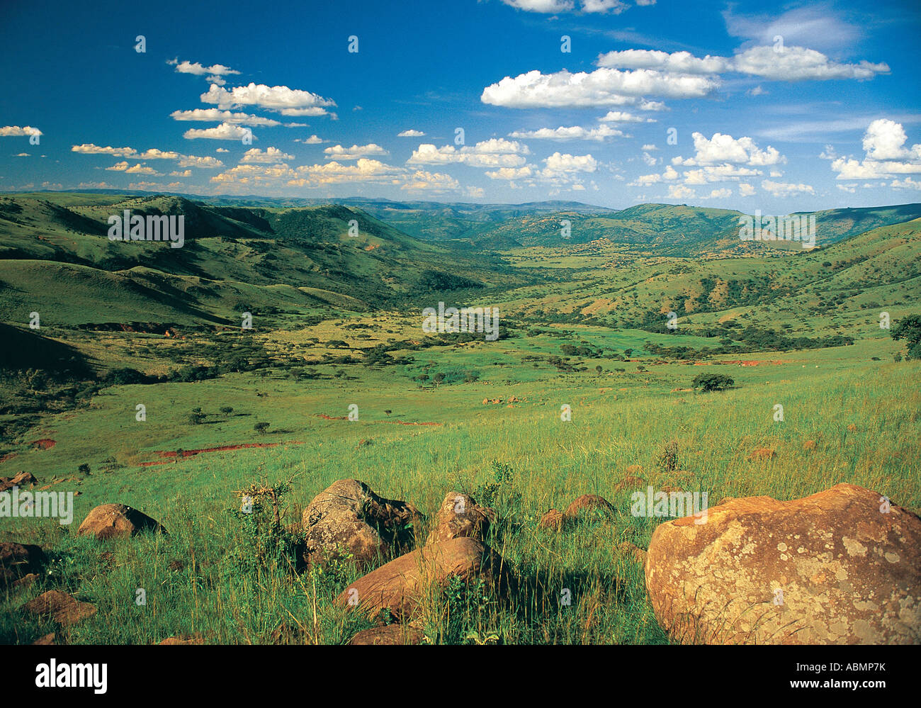 Ansicht zu öffnen grünes Tal in Itala Game Reserve KwaZulu Natal in Südafrika Stockfoto