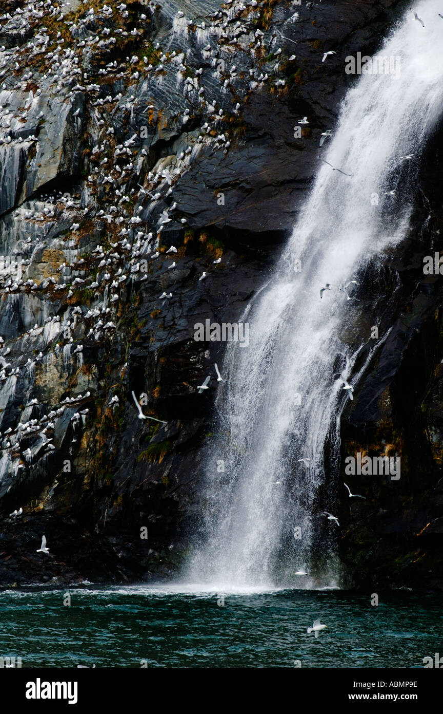 Alaska, Prinz-WIlliam-Sund, Wasserfall Stockfoto