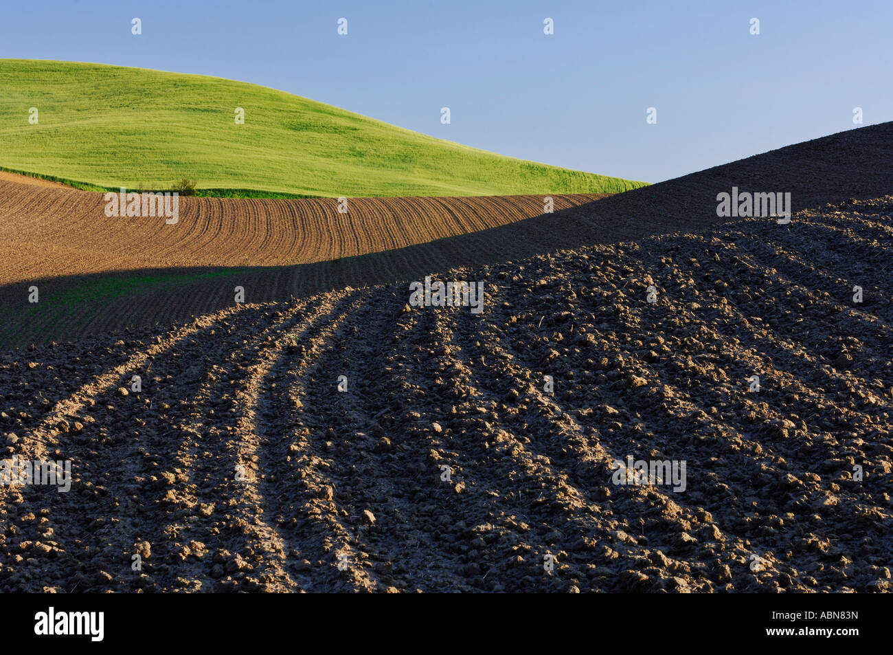 Gepflügtes Feld in der Nähe von Colfax, Palouse Region, Whitman County, Washington, USA Stockfoto