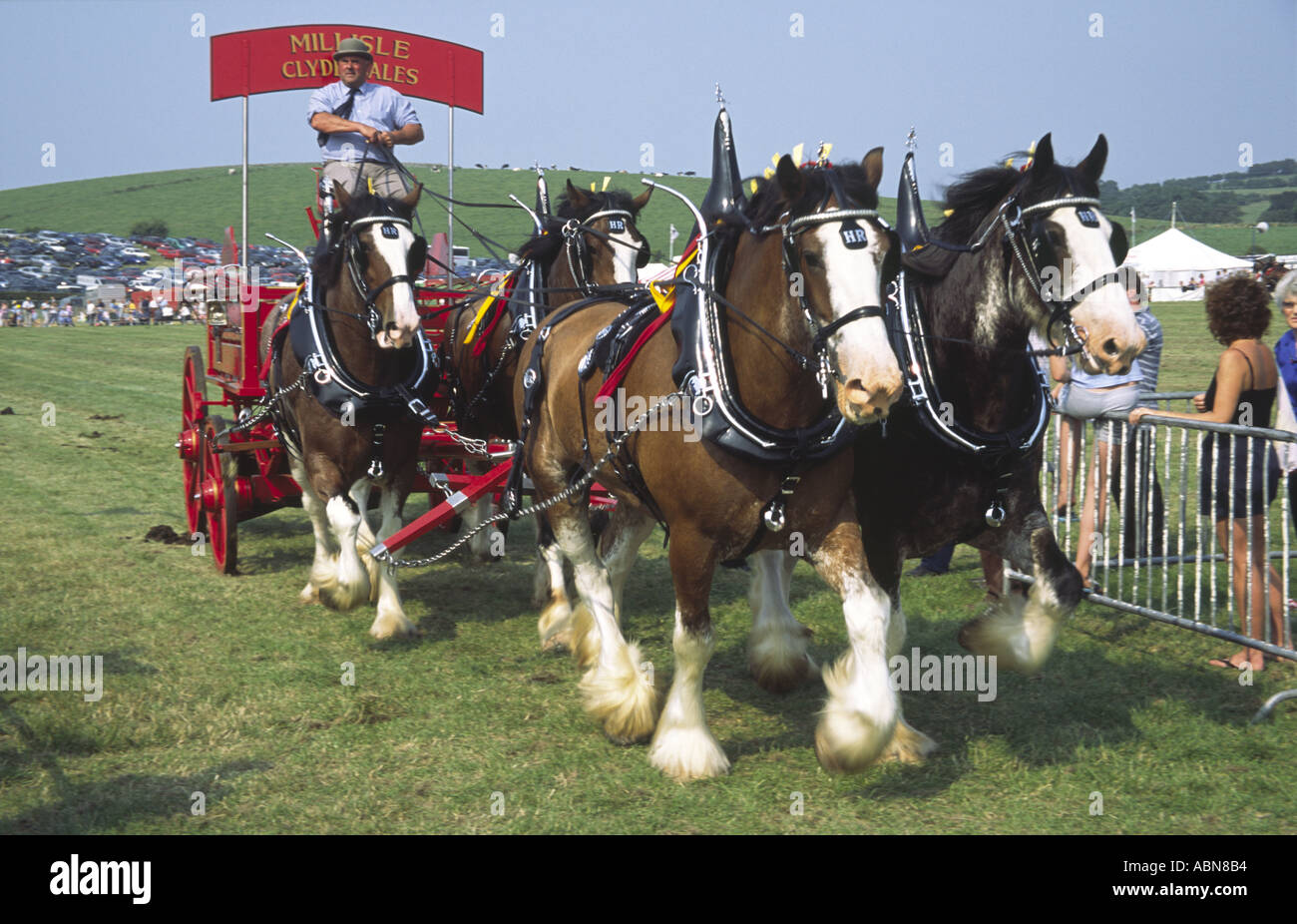 Wigtown landwirtschaftliche zeigen Bladnoch Park Clydesdale-Pferde ziehen einen Wagen aus der arena Stockfoto