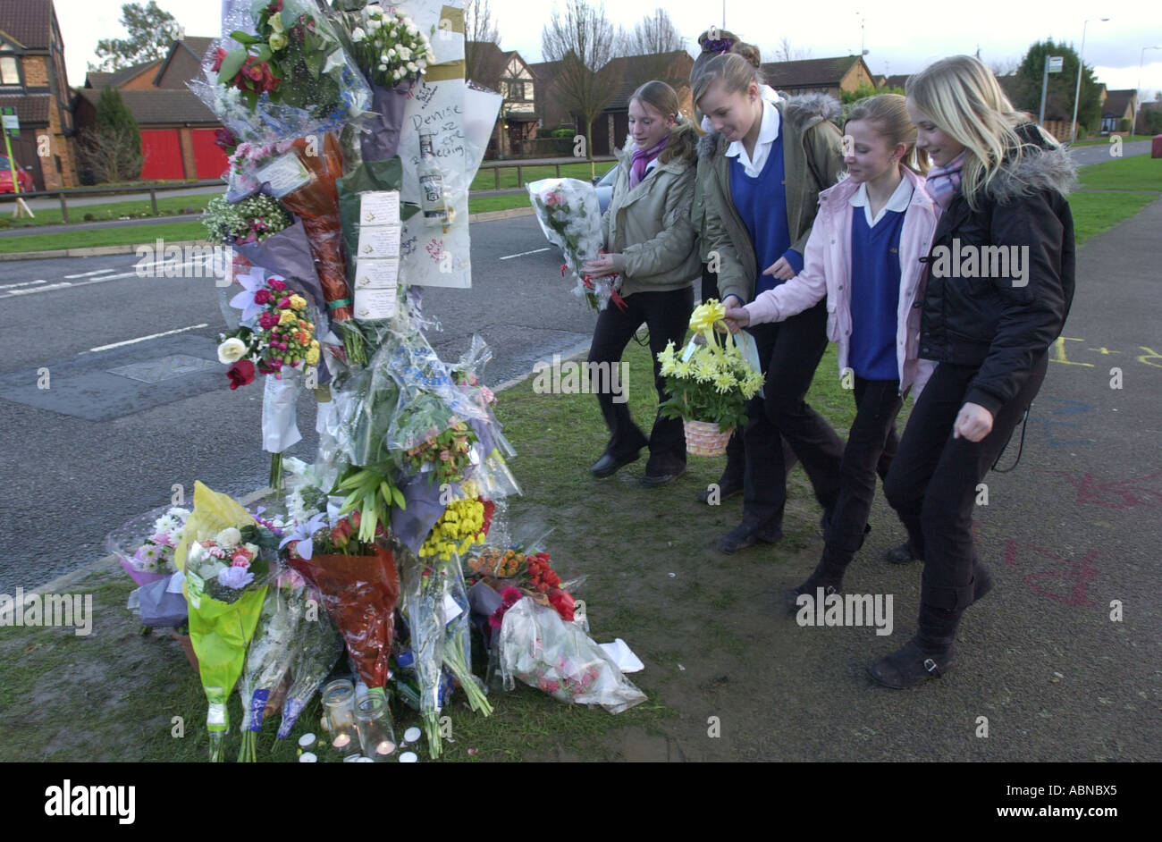 Blumen von jungen Mädchen am Unfallort eine Freude Reiter Tod UK Stockfoto