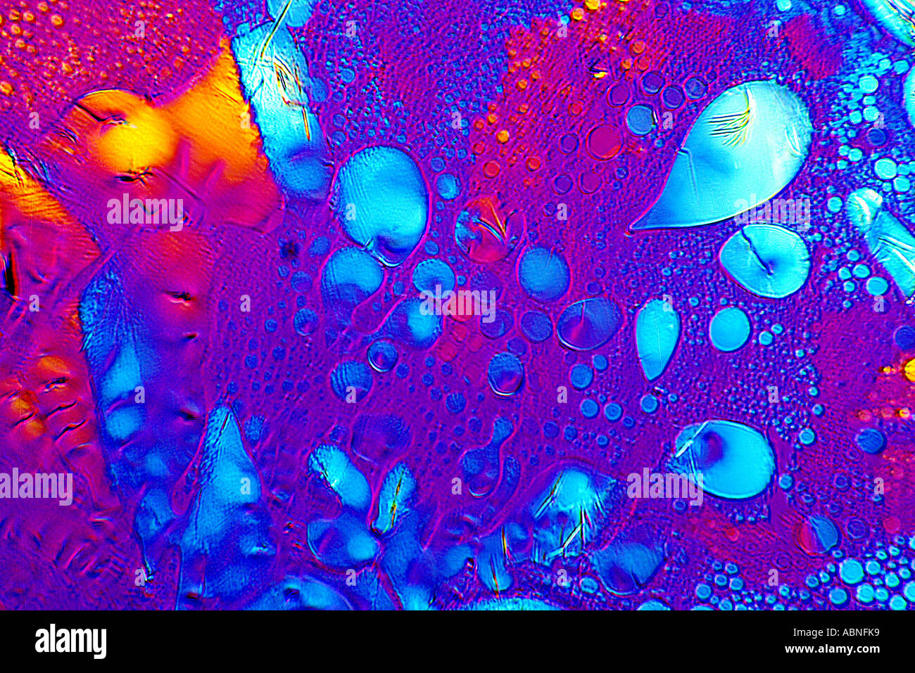 Napthalene Kristalle zerlegen Stockfoto