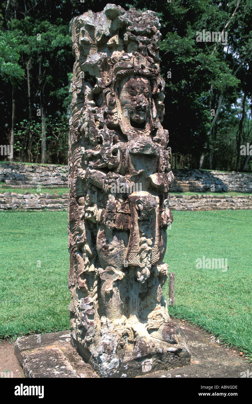 Honduras Copan Ruinas Maya-Ruinen Maya-Kunst Skulptur Stele F große Plaza religion Stockfoto