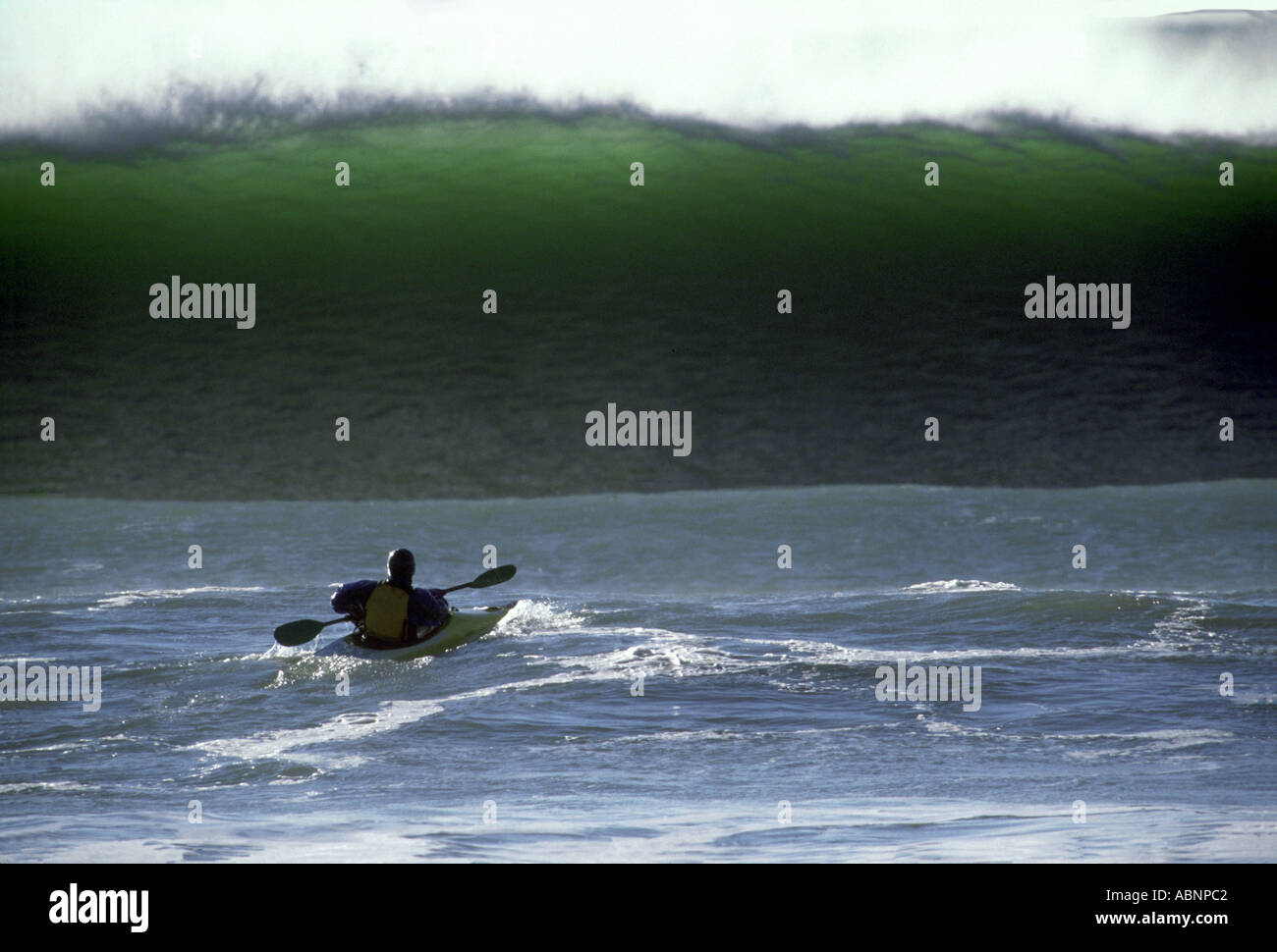 Kajakfahrer paddeln gegen riesige Meereswelle Stockfoto