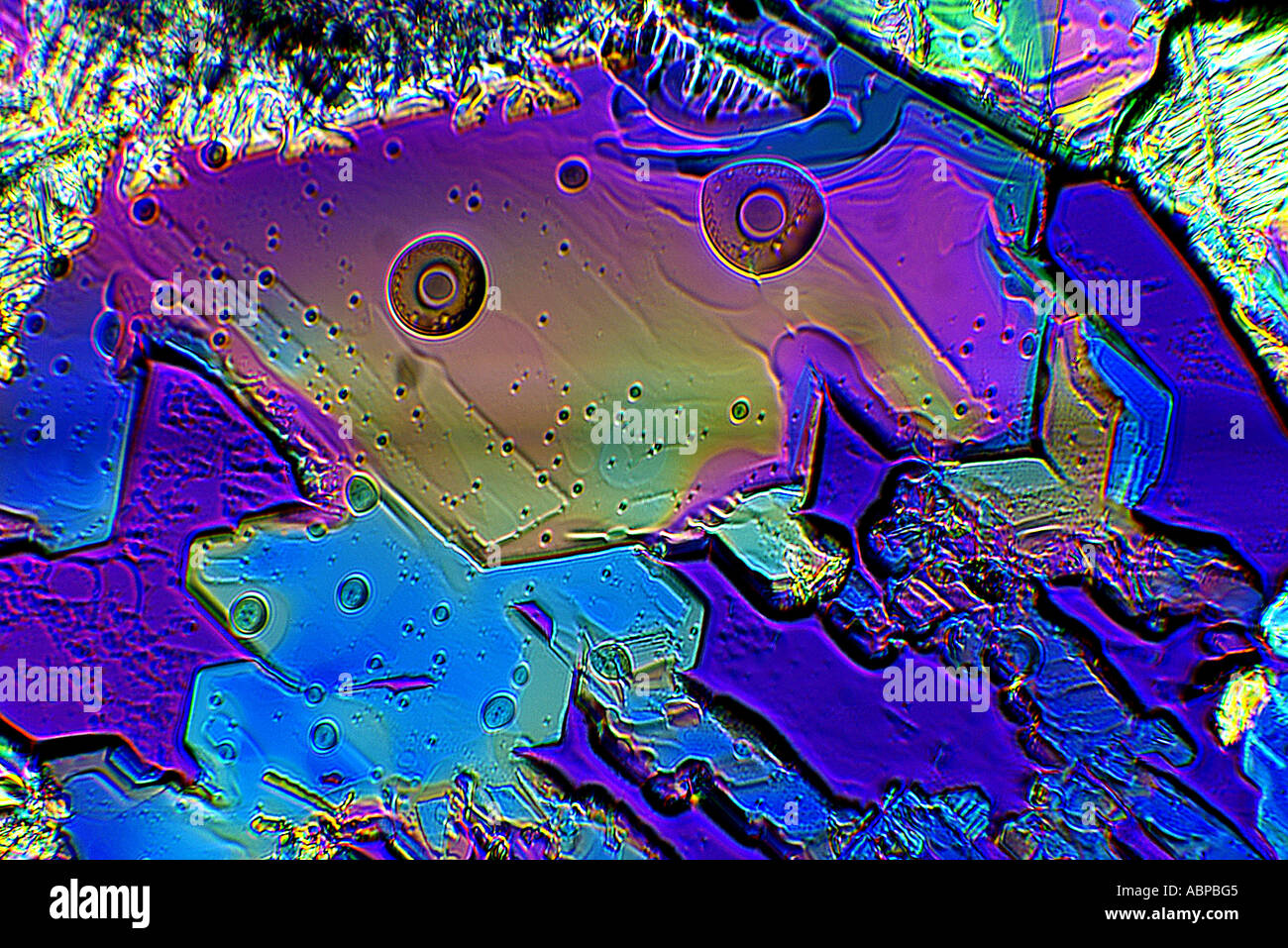 Subliming Naphthalin und Hexachlorethane Kristalle aus Mischung in ethanolische Lösung X200 Stockfoto