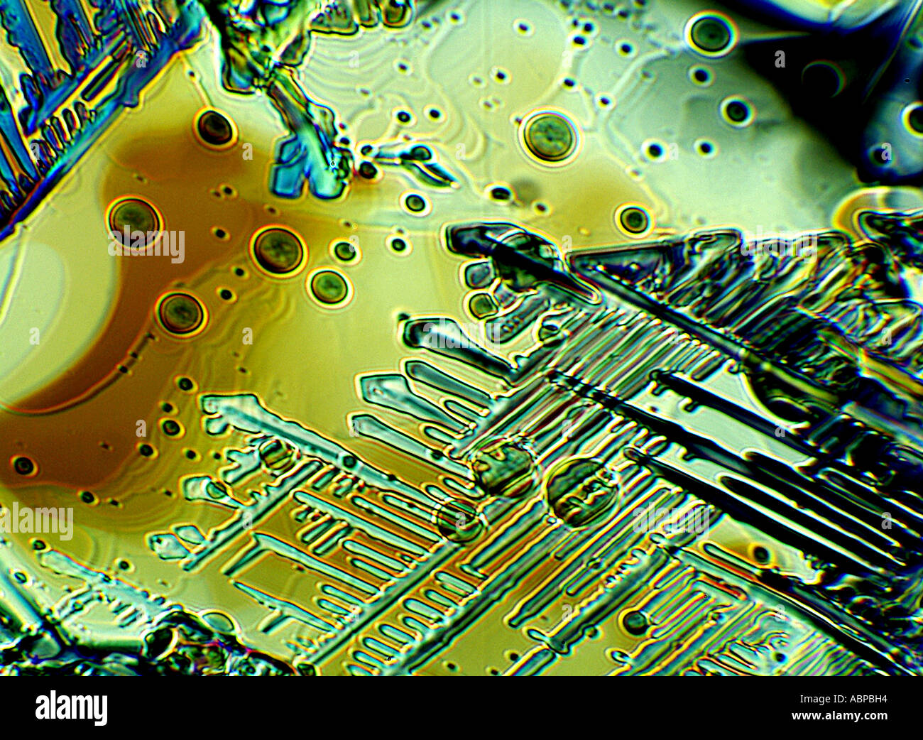 Subliming Naphthalin und Hexachlorethane Kristalle aus Mischung in ethanolische Lösung X200 Stockfoto