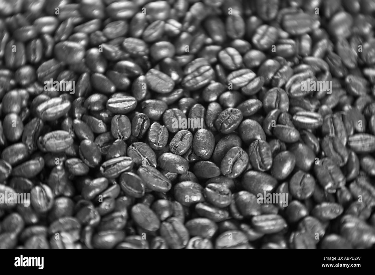 ein Haufen von Kaffeebohnen Stockfoto
