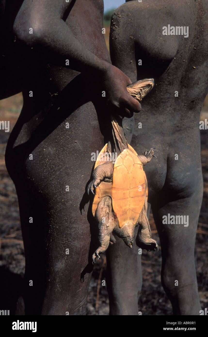 Aborigine Mädchen mit langen necked Turtle gefangen in Arafura Sumpf ArnhemLand Stockfoto