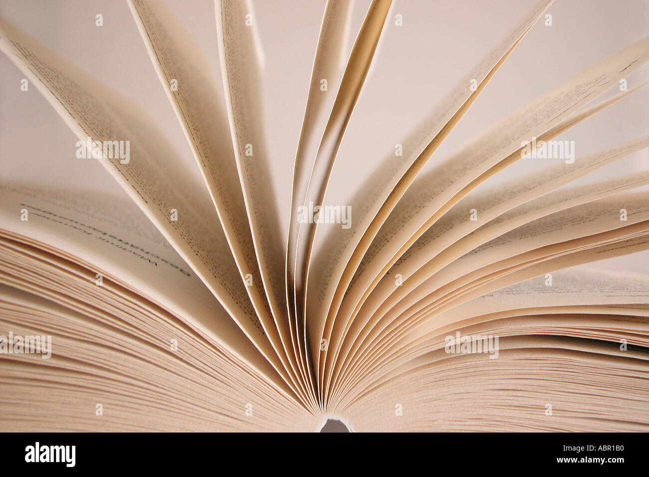 in einem Buch blättern Stockfoto