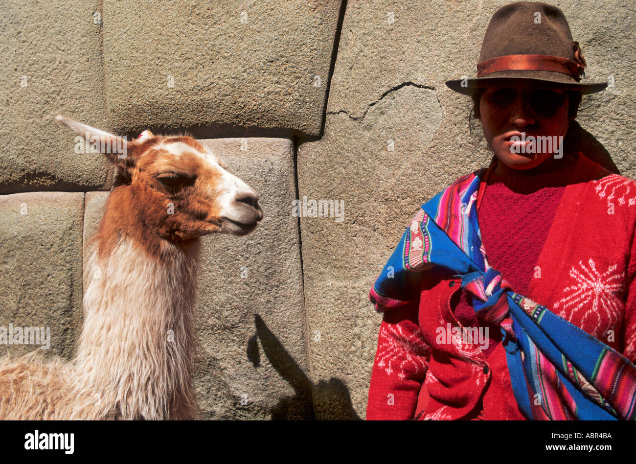 Cusco, Peru. Frau in traditioneller Kleidung mit Lamas in der Calle Hatunrumiyoc mit ausgezeichneten polygonalen Inka Mauerwerk. Stockfoto