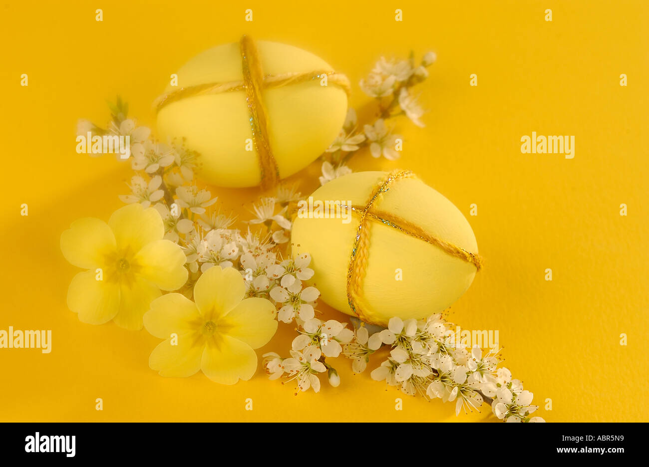 Gelbe Ostereier und Frühjahr blühen Stockfoto