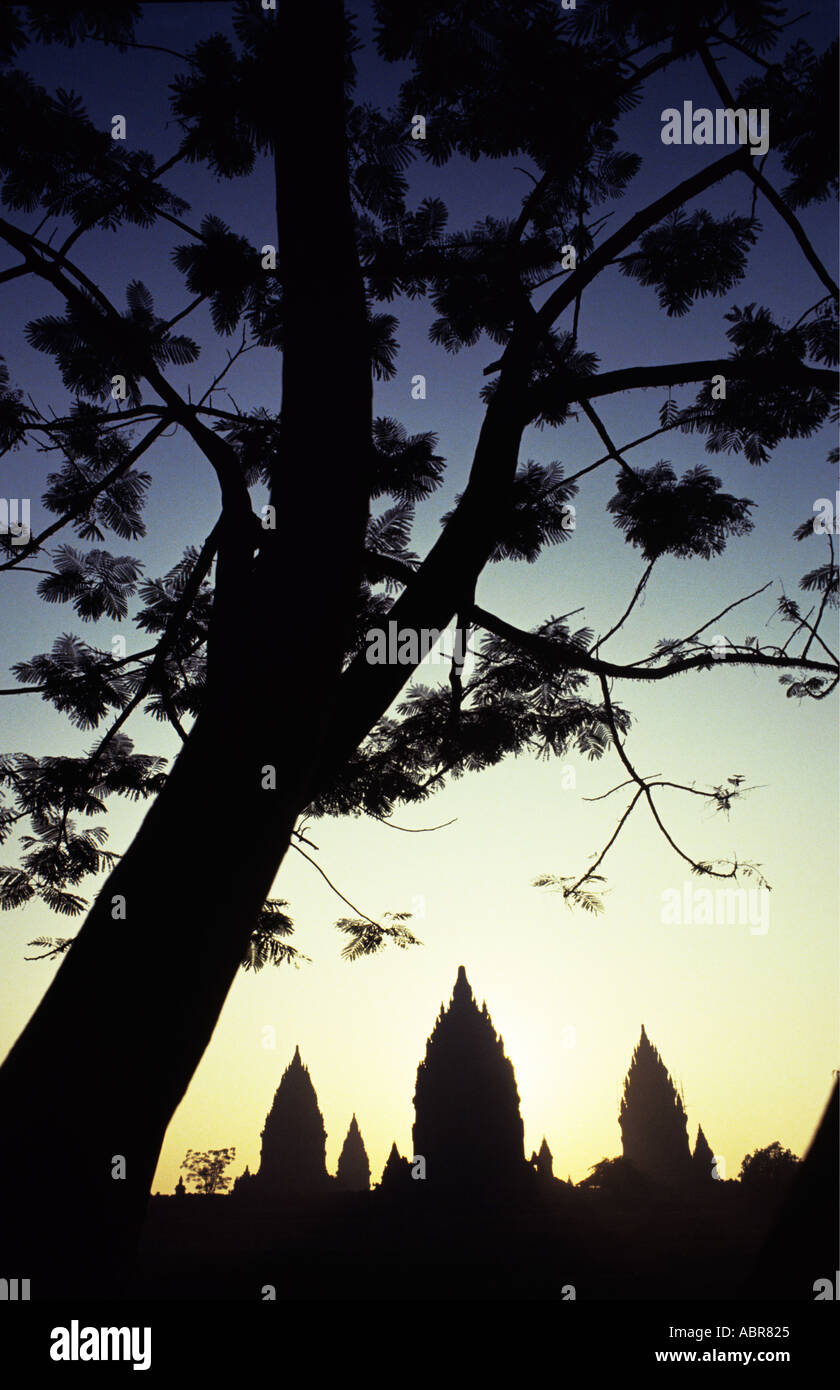 Morgendämmerung am Candi Siva-Komplex von Candi Prambanan Zentrum des 10. C Mataram Königreichs in Zentral-Java mit der blass gelbe Sonne erfüllten, die die markanten Türmen wie es dahinter erhebt sich ein prächtiger Baum Indonesien umrahmt von einer Stockfoto