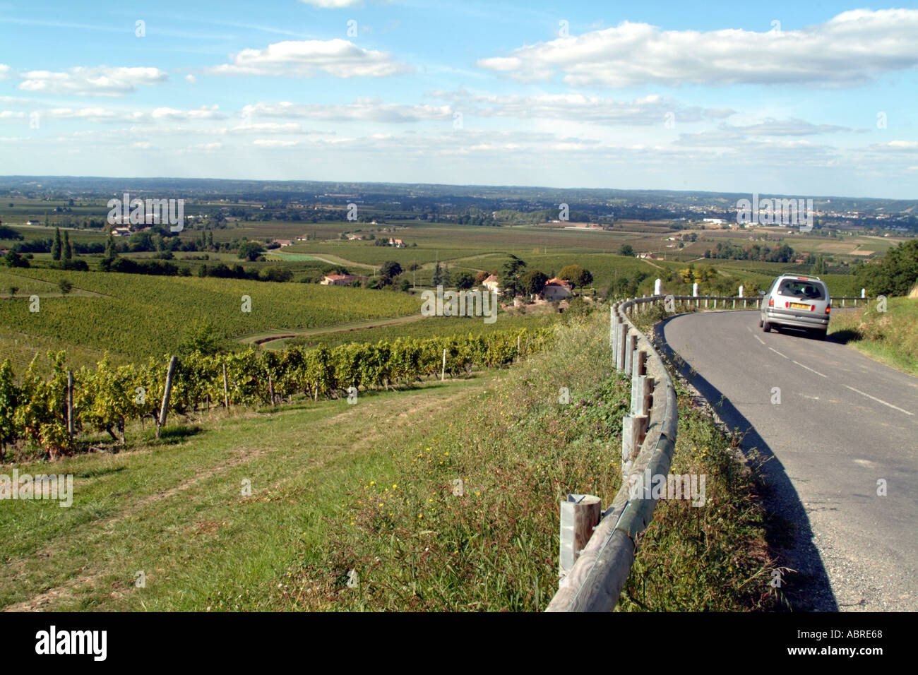 Reben im Großraum Bergerac Dordogne Frankreich nahe Monbazillac Stockfoto