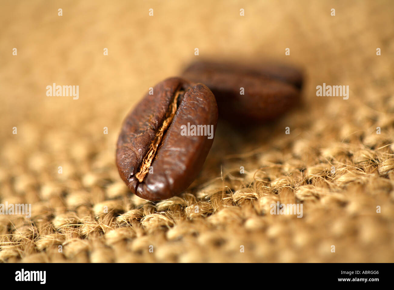 Nahaufnahme von Kaffeebohnen auf Sackleinen Oberfläche Stockfoto