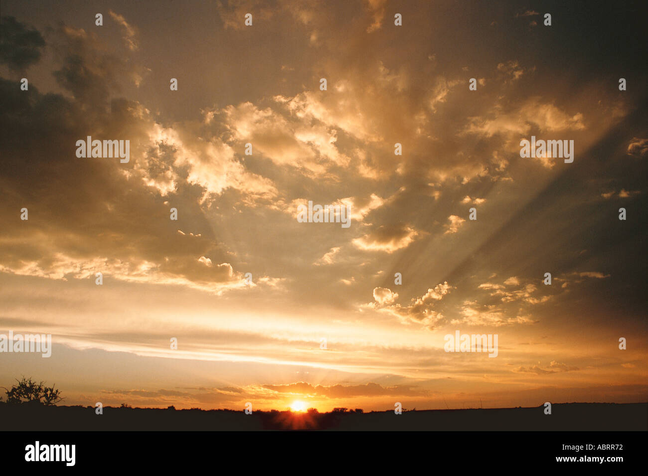 Sonnenuntergang über Landschaft South Africa Afrika Stockfoto