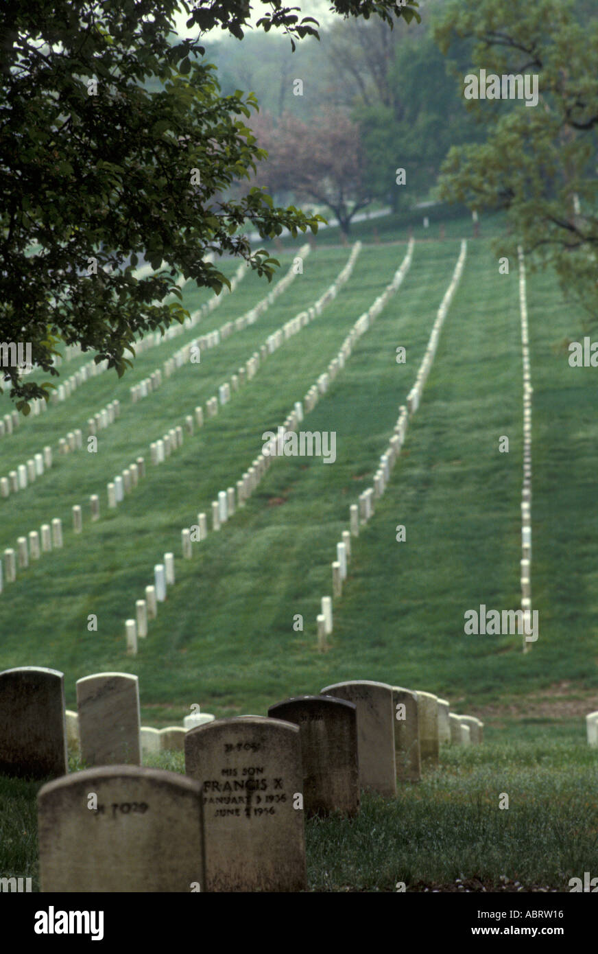 Nationalfriedhof Arlington Stockfoto