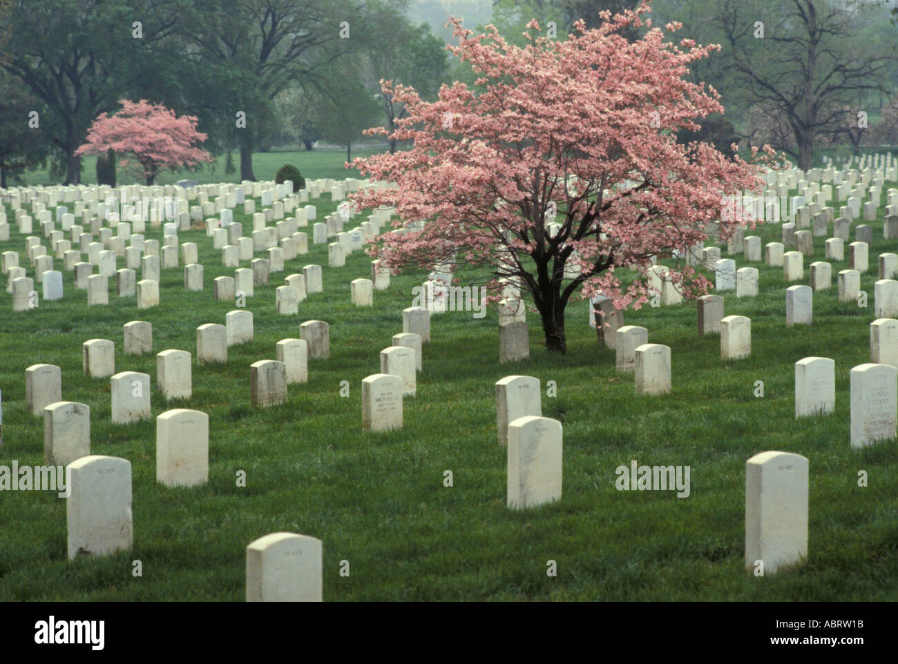 Nationalfriedhof Arlington Stockfoto