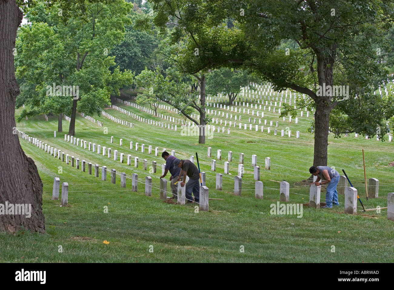 Nationalfriedhof Arlington Stockfoto