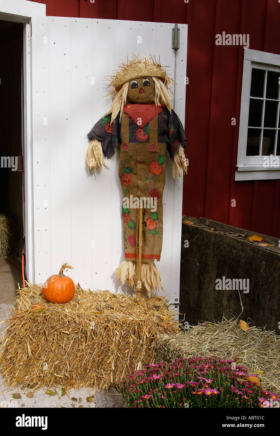 Halloween Vogelscheuche und Kürbis vor einer Tür Stockfoto