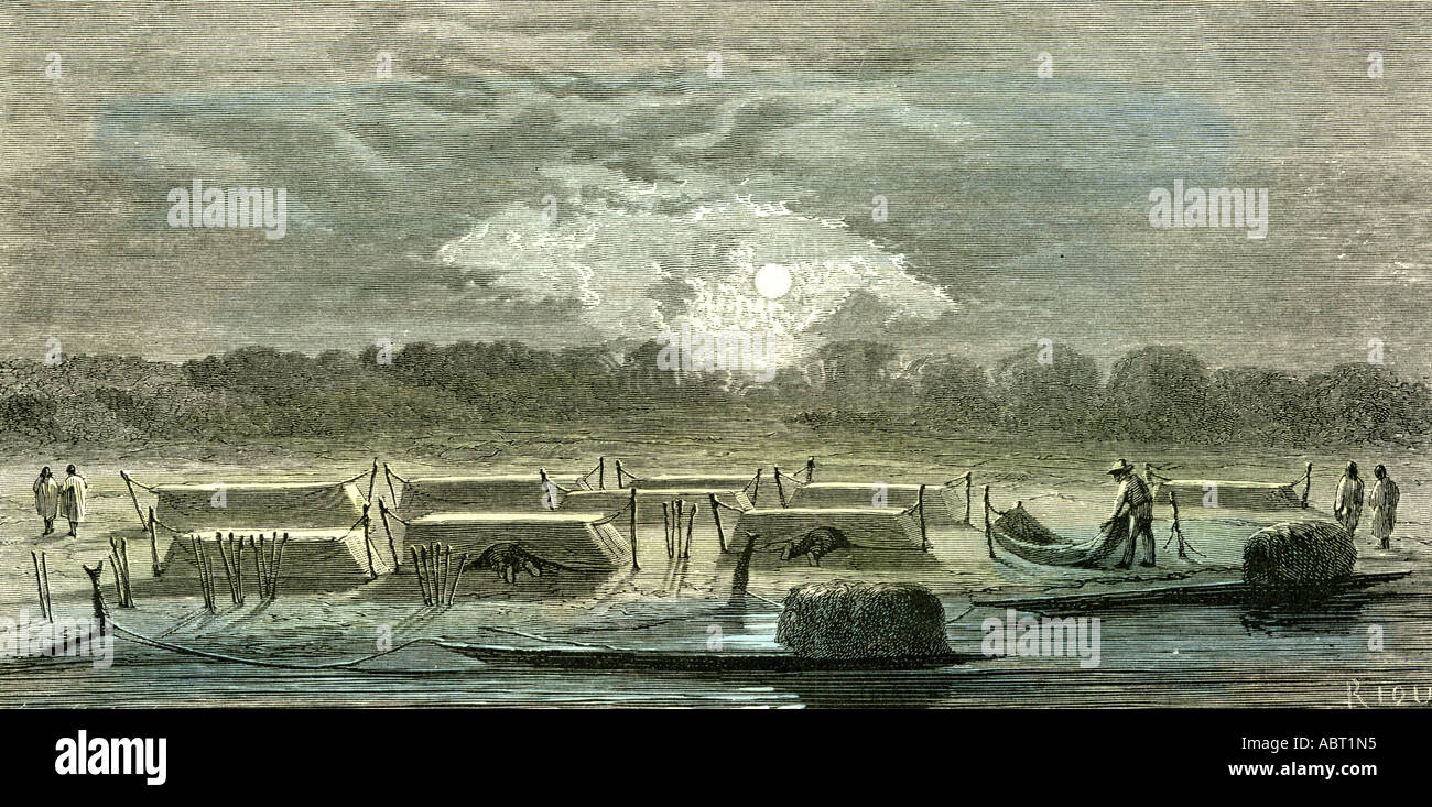 Moskitonetze 1869 Peru Stockfoto