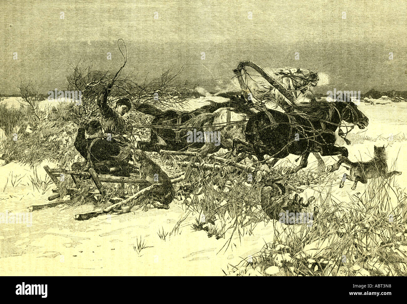 Österreich, Wölfe, angreifen, 1891, Pferden gezogene Schlitten, Stockfoto