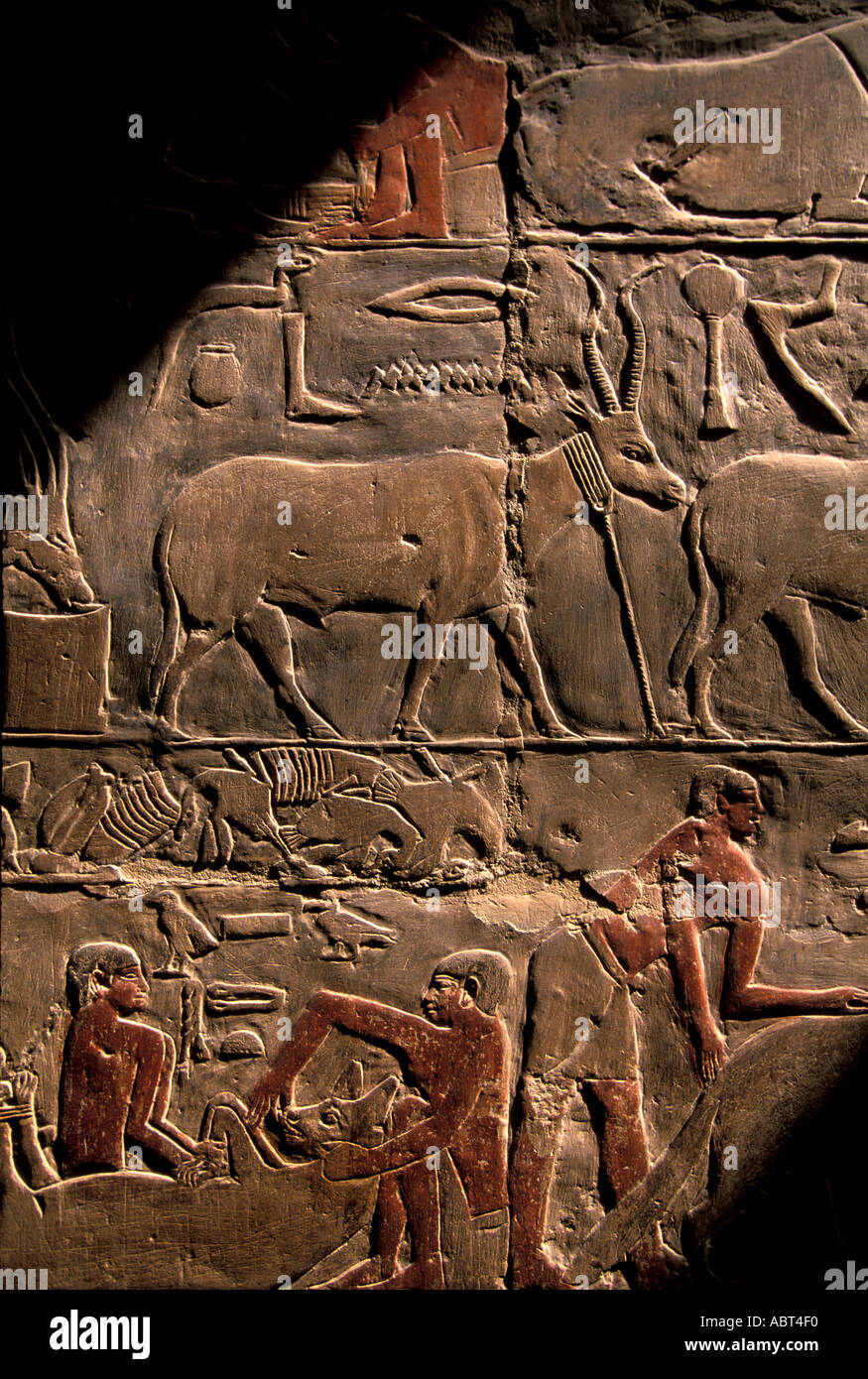 Ägypten Sakkara Welle des Lichtes erleuchtet Grab des Mereruka Wandmalereien Stockfoto