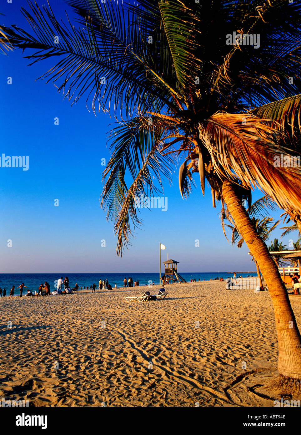Dubai Vereinigte Arabische Emirate Jumeira Beach Park Palmen Sonnenliegen Stockfoto