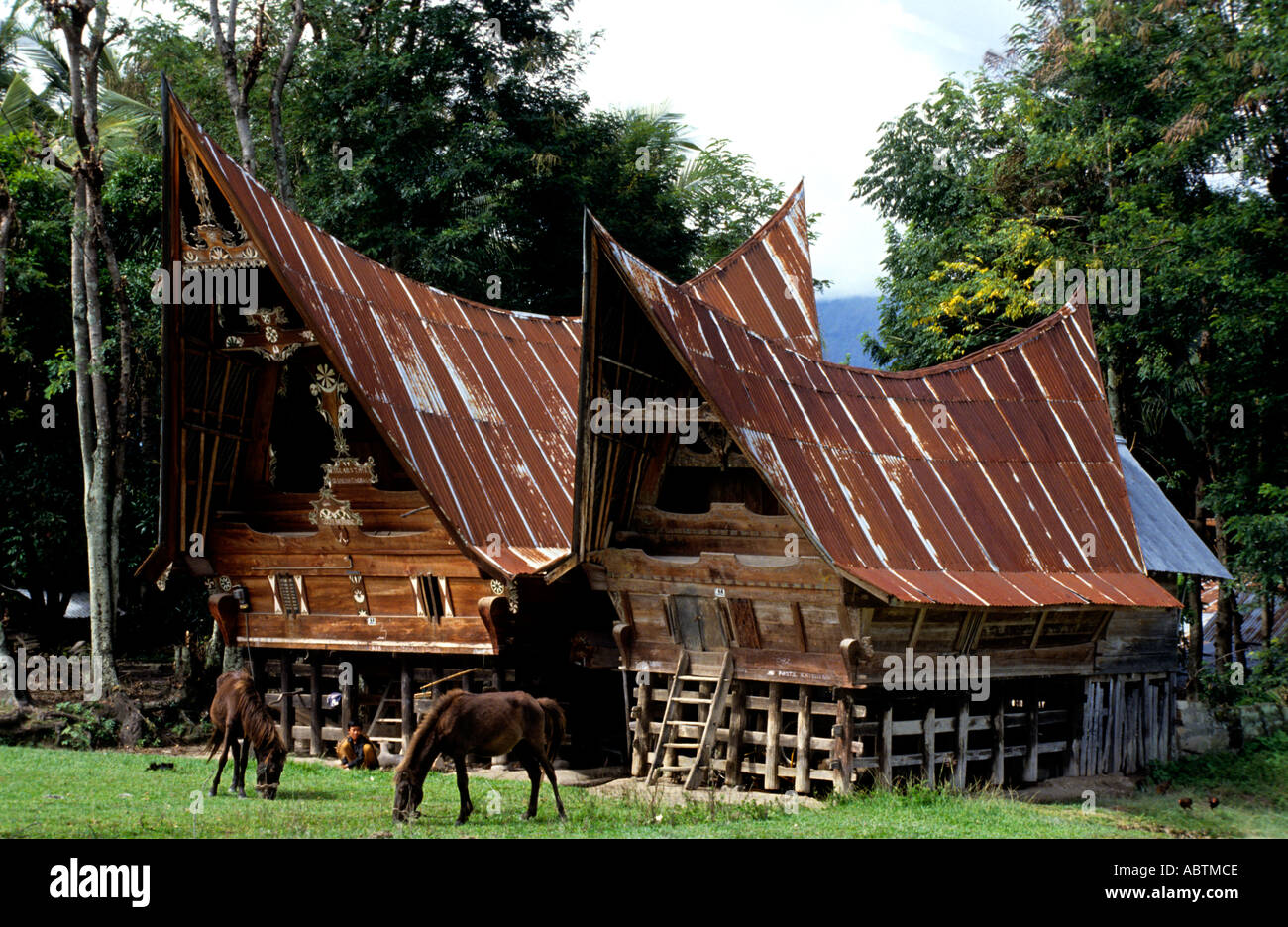 Samosir Long House, Dachhäuser, 19-20. Jahrhundert. Toba Batak, Tribes, Lake Toba, Sumatra, Indonesien Batak Toba Dorfhäuser mit hohem Dach Stockfoto