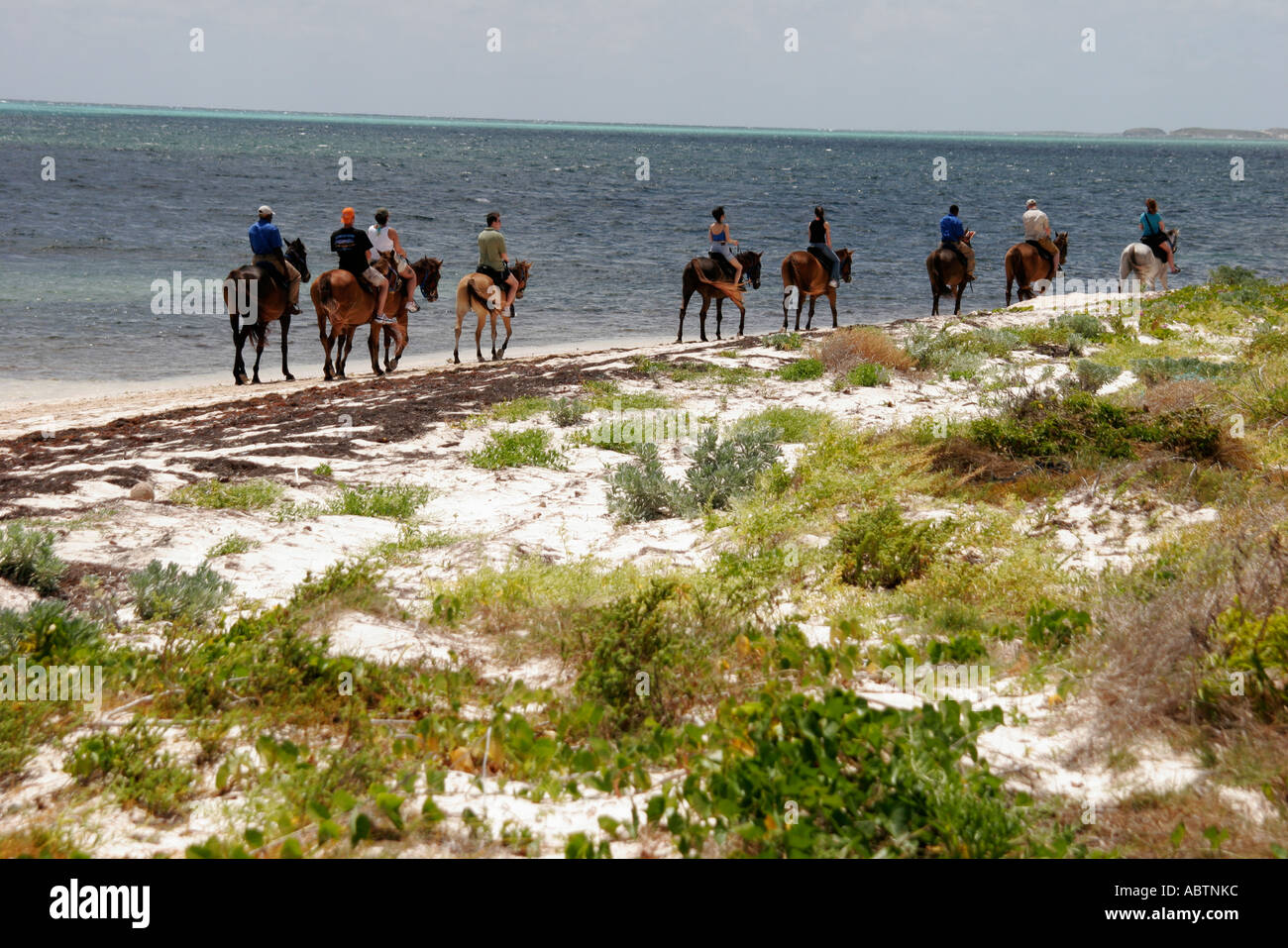 Turks- und Caicosinseln, Grand Turk, BWI, BWI, Westindien, Karibik, Atlantischer Ozean, Wasser, Bahamas-Inselkette, tropisch, Atlantischer Ozean, Wasser, Indigene Inseln Stockfoto