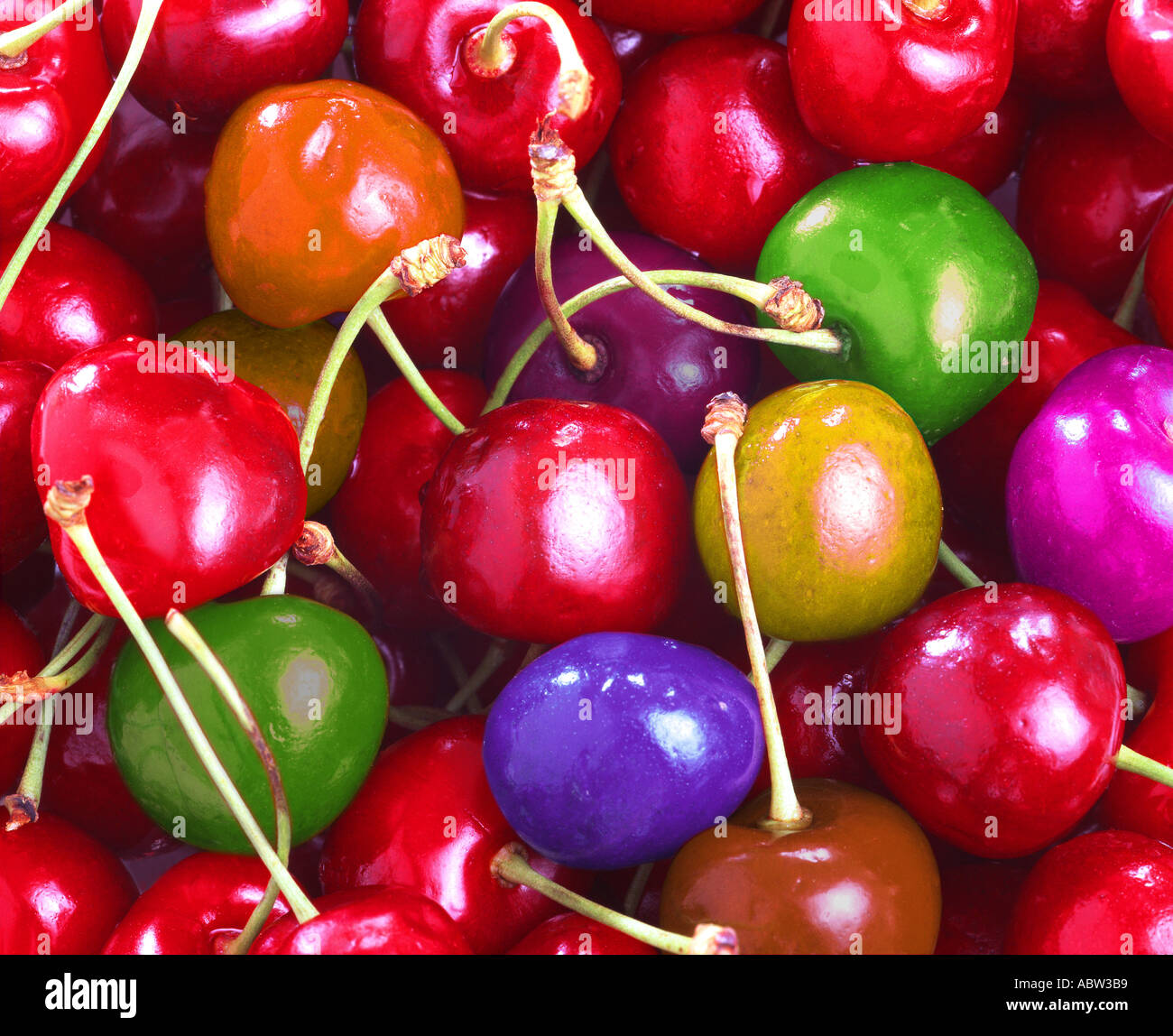 Konzept-Fotografie: Genetisch veränderte Lebensmittel Stockfoto
