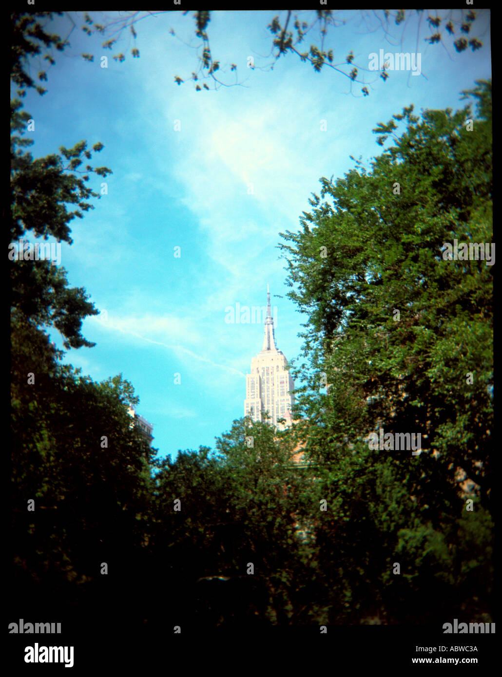 Das Empire State Building, umgeben von Bäumen, angesehen vom Madison Square Park. Stockfoto