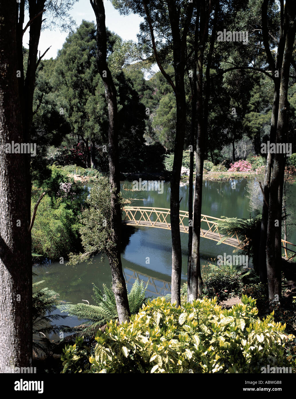 Öffentlicher Park mit See, Bäumen und Holzbrücke Stockfoto