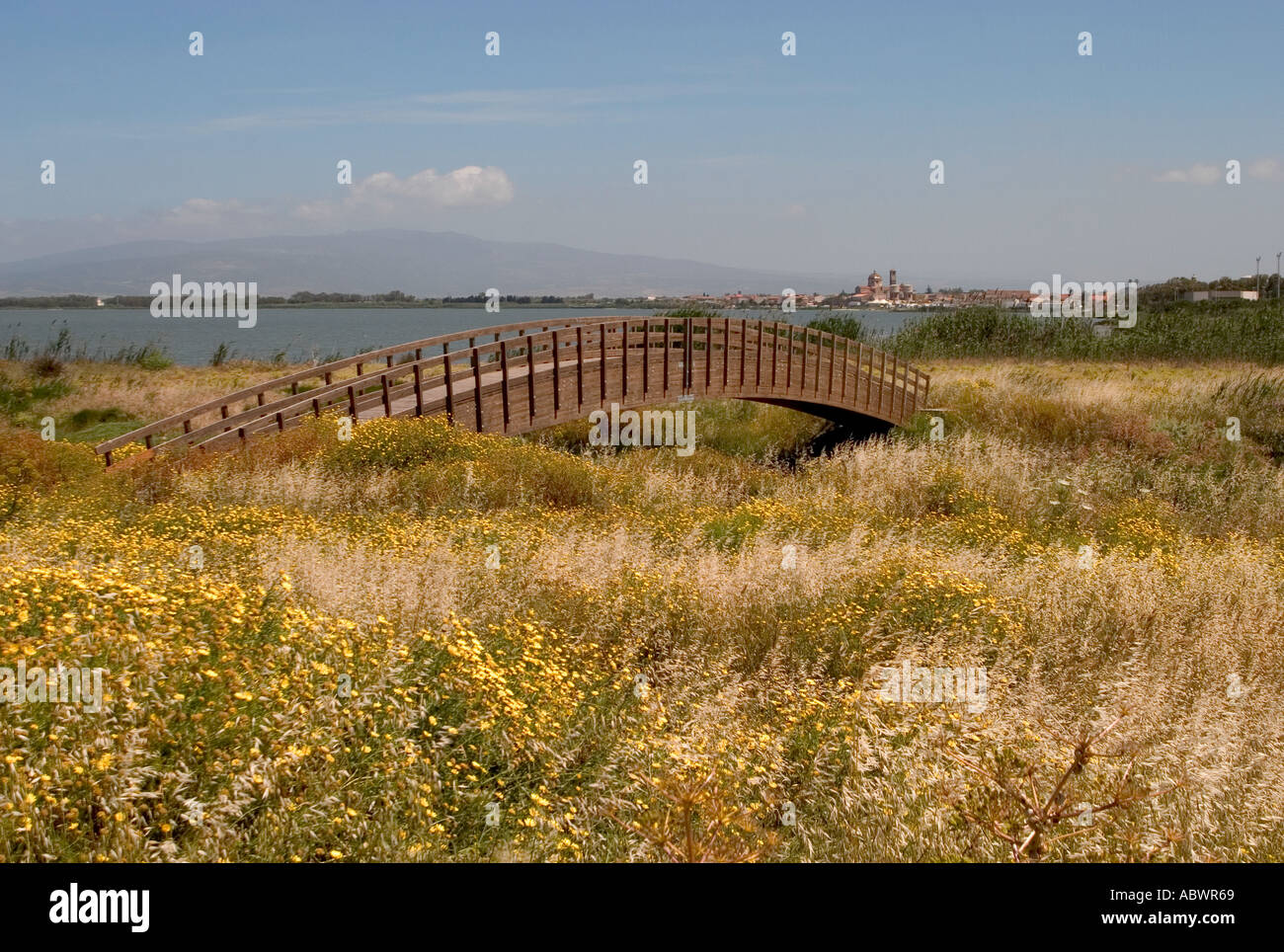 Flora und Fußgängerbrücke über der Lagune, Cabras. Provinz Oristano, Sardinien Stockfoto