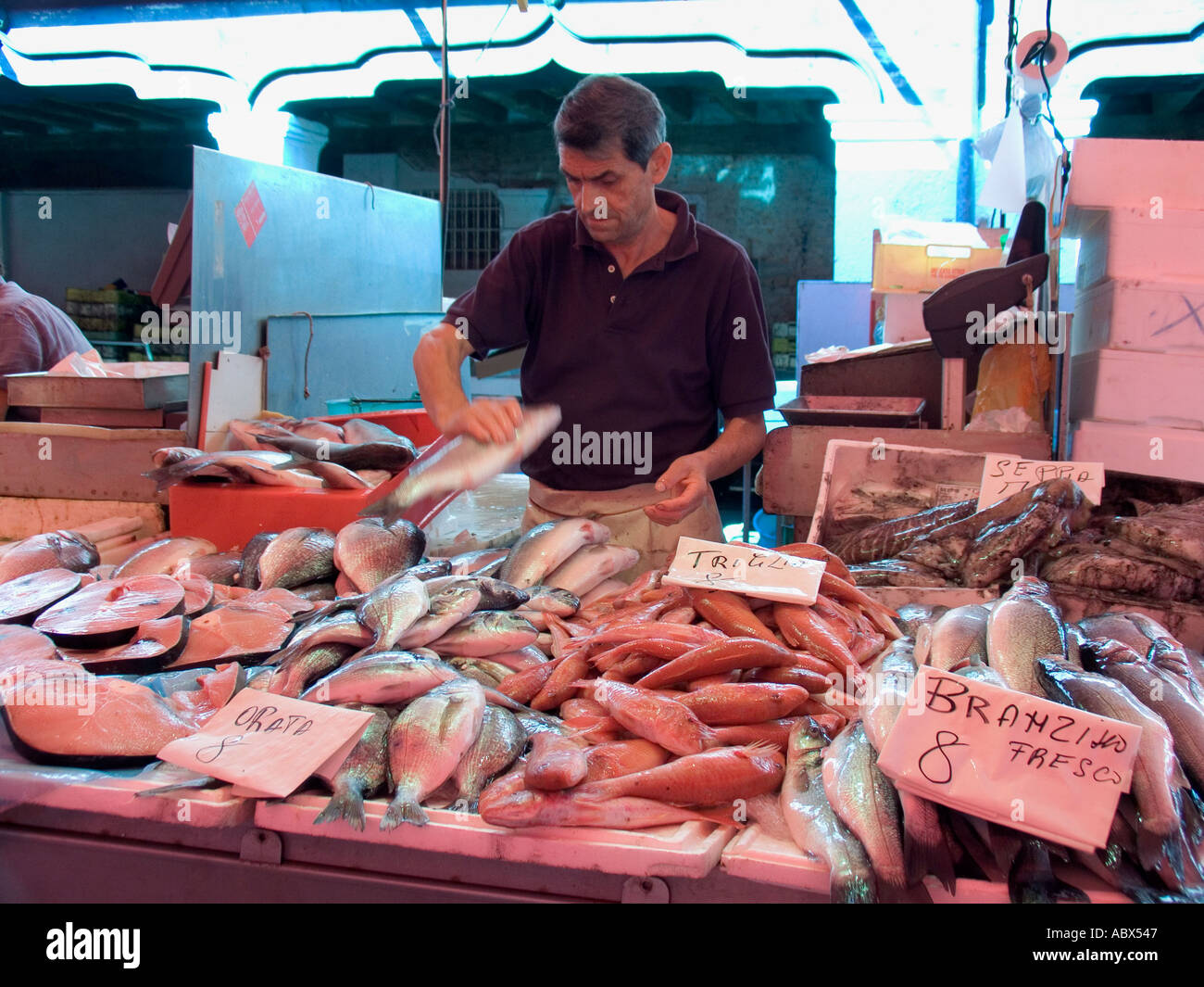 Chioggia fish market -Fotos und -Bildmaterial in hoher Auflösung – Alamy