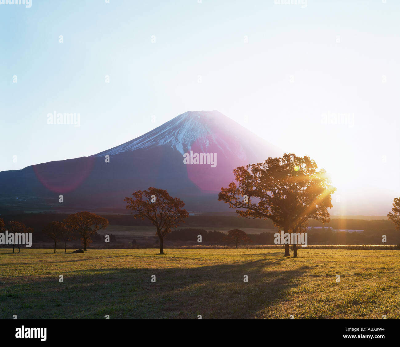 Mt. Fuji Stockfoto