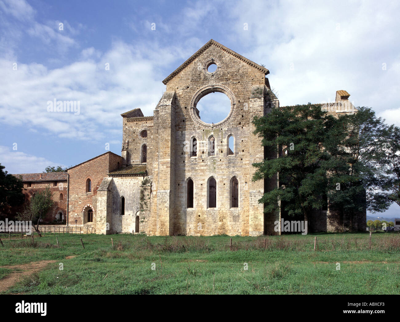 San Galgano, Klosterruine, Ostansicht Stockfoto