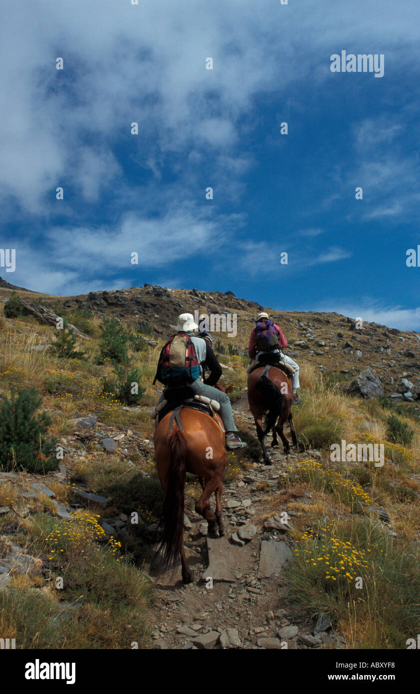 Horse Trek Alpujara Spanien Stockfoto