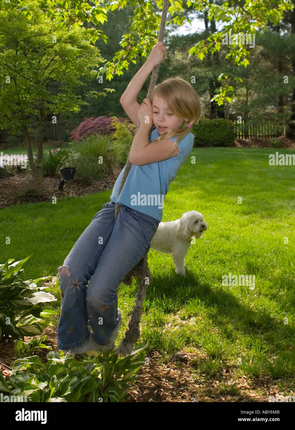 Junges Mädchen schwingen an einem Seil mit ihrem Hund neben ihr Stockfoto