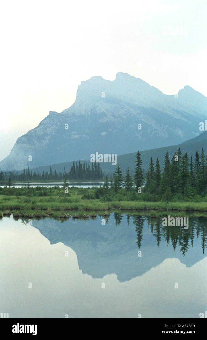 Mount Rundle Reflexion Stockfoto