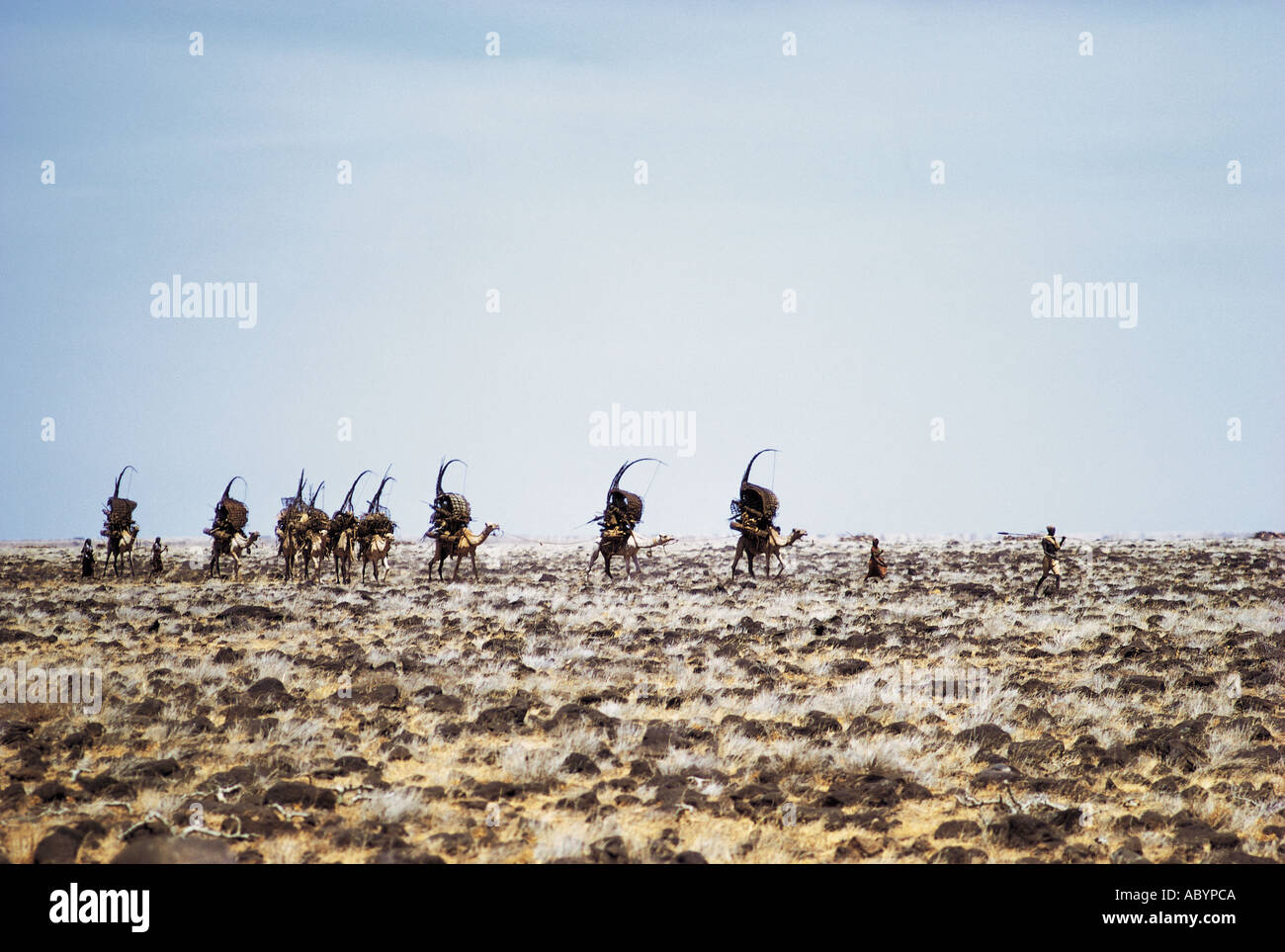 Gabbra Menschen mit ihren Zug von Kamelen Stockfoto