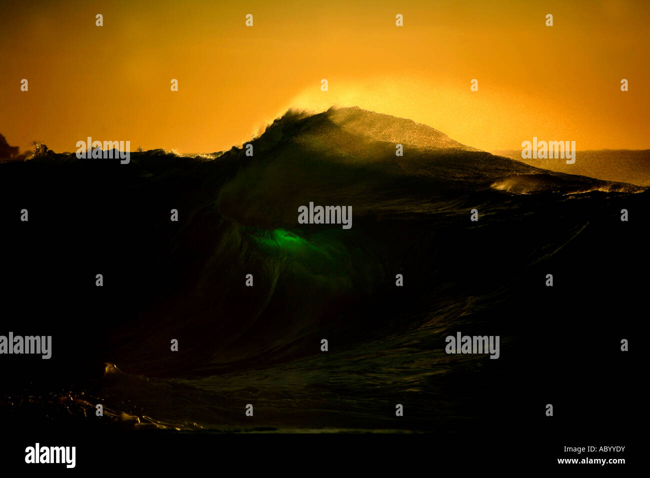 Ein Schimmer von Emerald wird durch eine brechende Welle im Morgengrauen Bondi Sydney Australia gesehen. Stockfoto