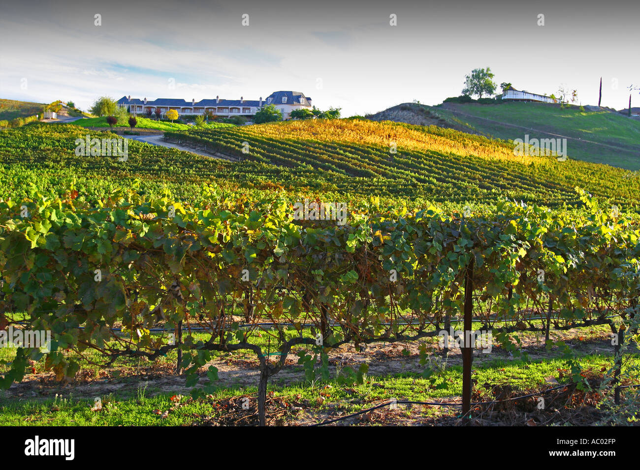 Churon Weingut und Bed And Breakfast in Temecula Riverside County Kalifornien Vereinigte Staaten Stockfoto