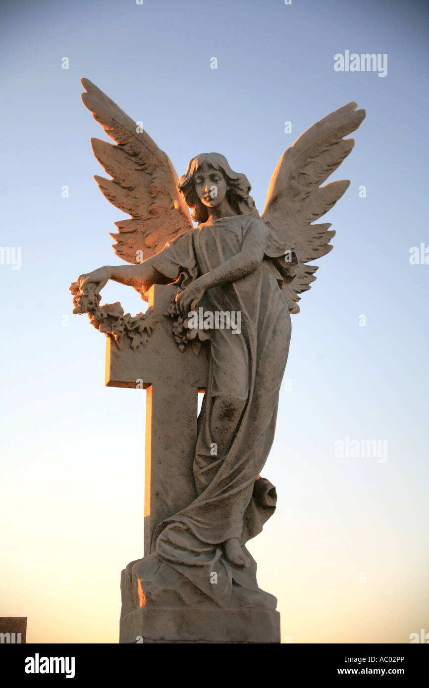Eine steinerne Engel Grabstein in Waverley Cemetery Sydney Australia Stockfoto