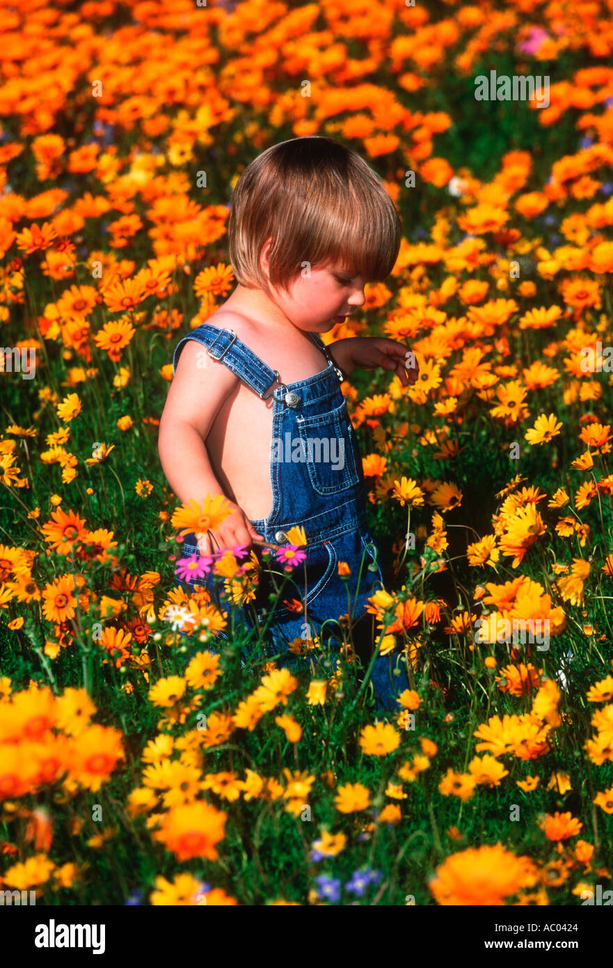 Menschen Sie Kind zu Fuß durch Blumen Südafrika Stockfoto