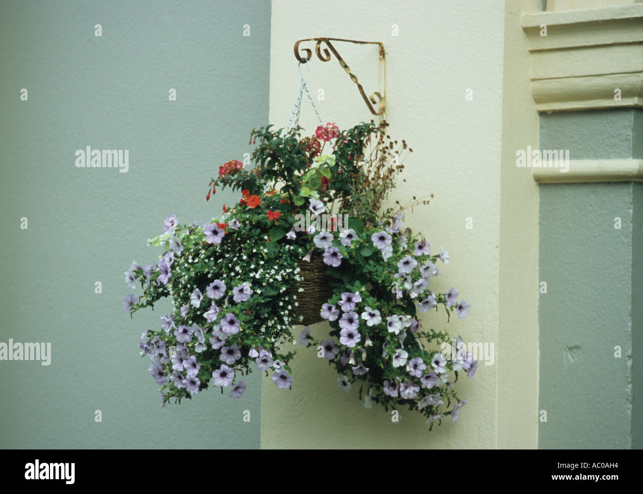 Blumen in Lavenham in Suffolk Stockfoto