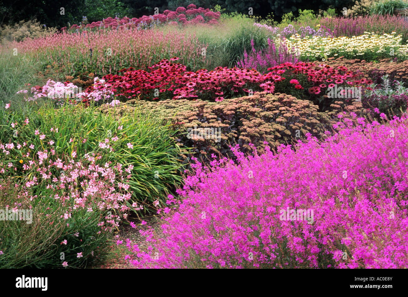 Designer Piet Oudolf Prairie Pflanzen Stockfotos und bilder Kaufen Alamy