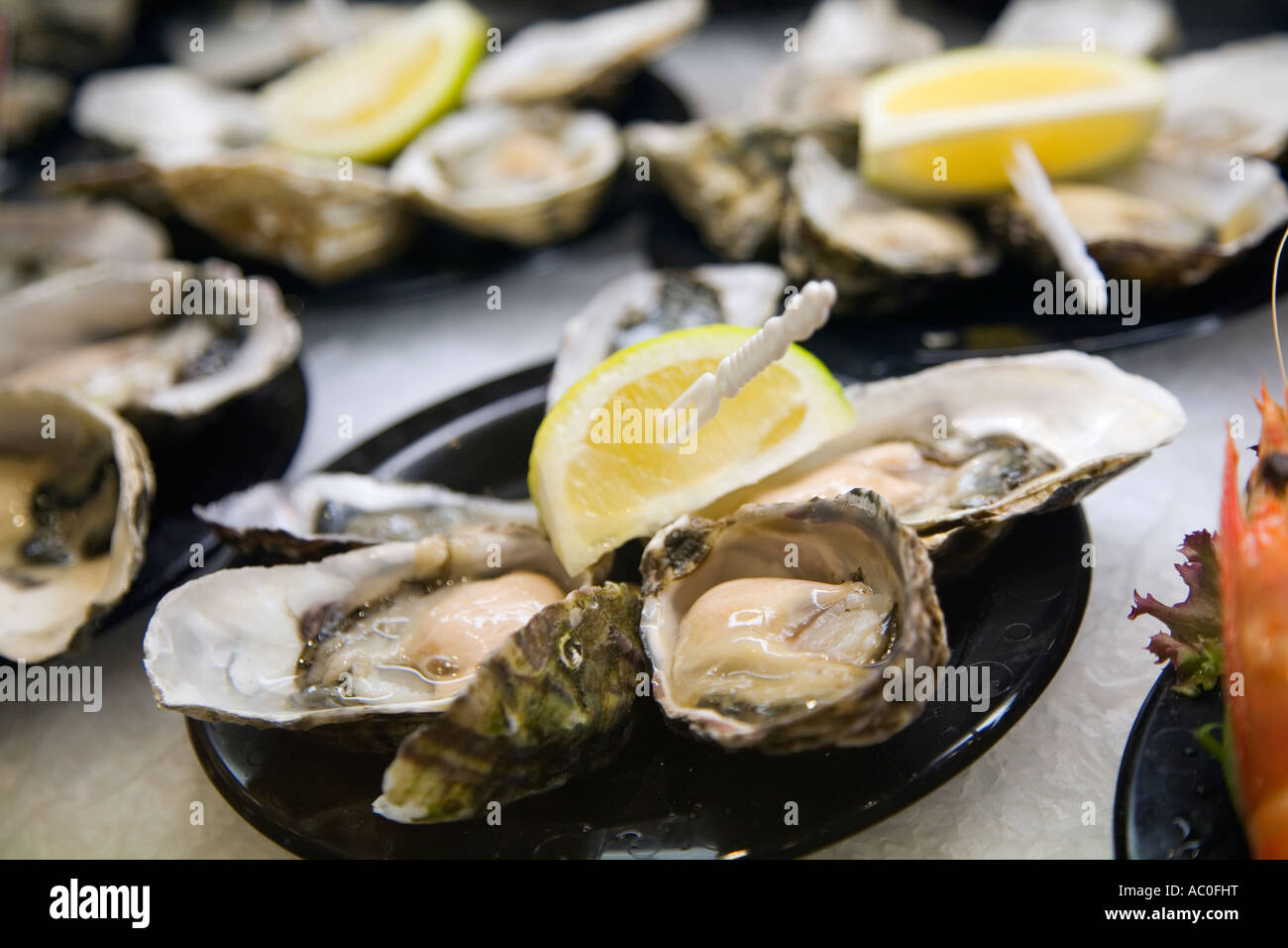 Teller mit frischen Austern bereit für Essen in Sydney s Fischmarkt in Pyrmont Stockfoto